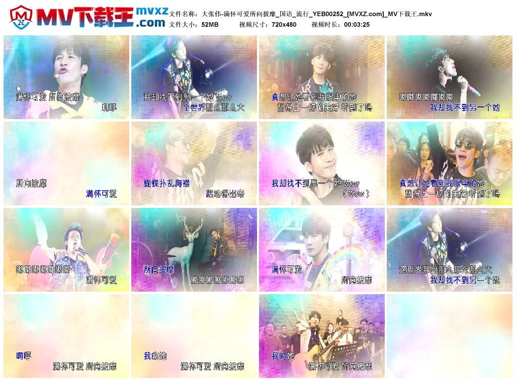 大张伟-满怀可爱所向披靡_国语_流行_YEB00252